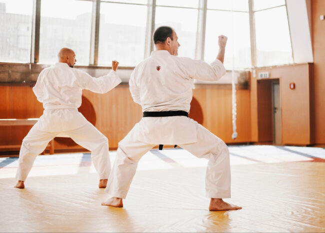 How Physical Therapy Can Improve Martial Arts Performance