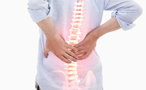 Balancing Life and Low Back Pain