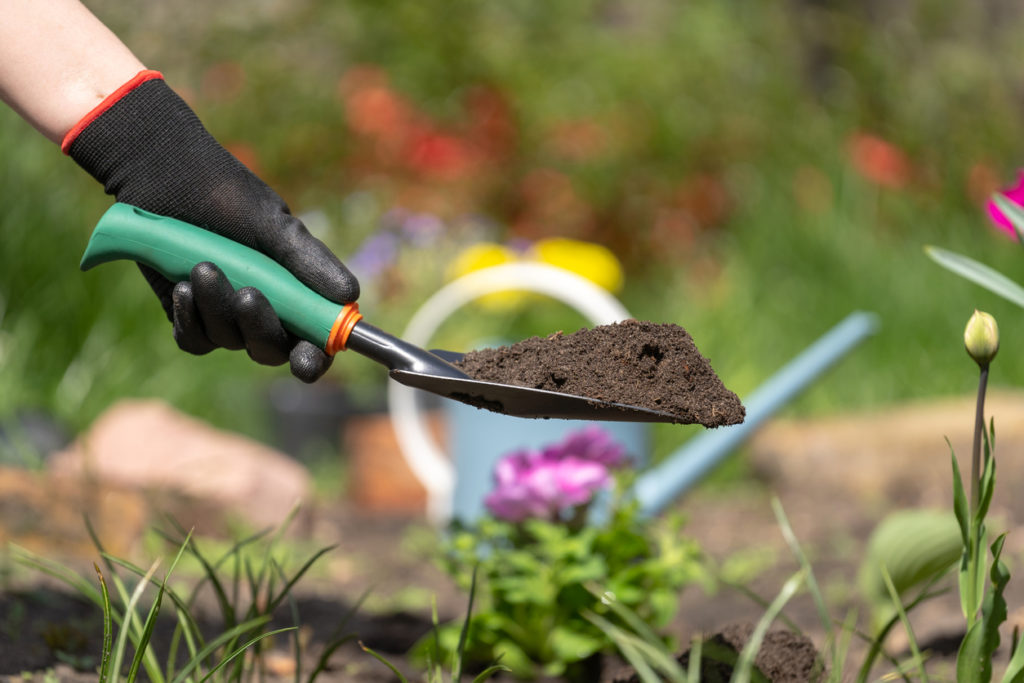 10 Tools For Pain Free Gardening