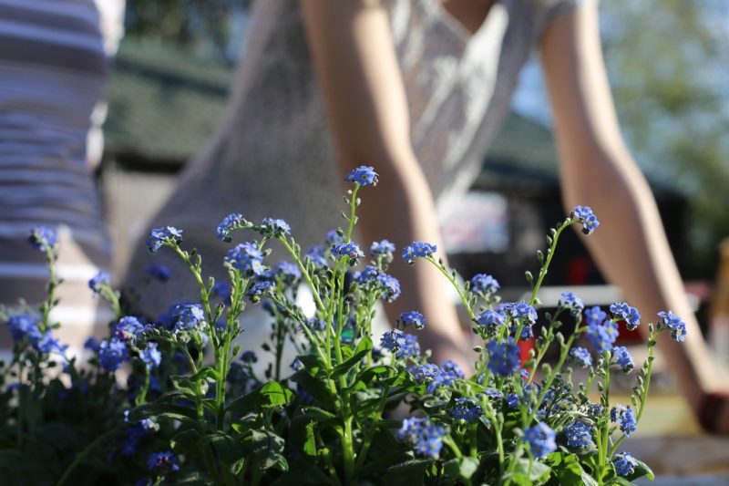 Gardening and Injury Prevention